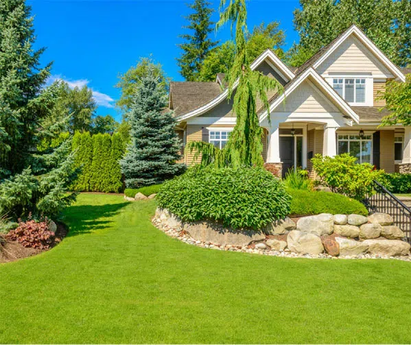 Landscaped yard with trimmed shrubs and green lawn — Cutting Edge Lawn Care in Washington