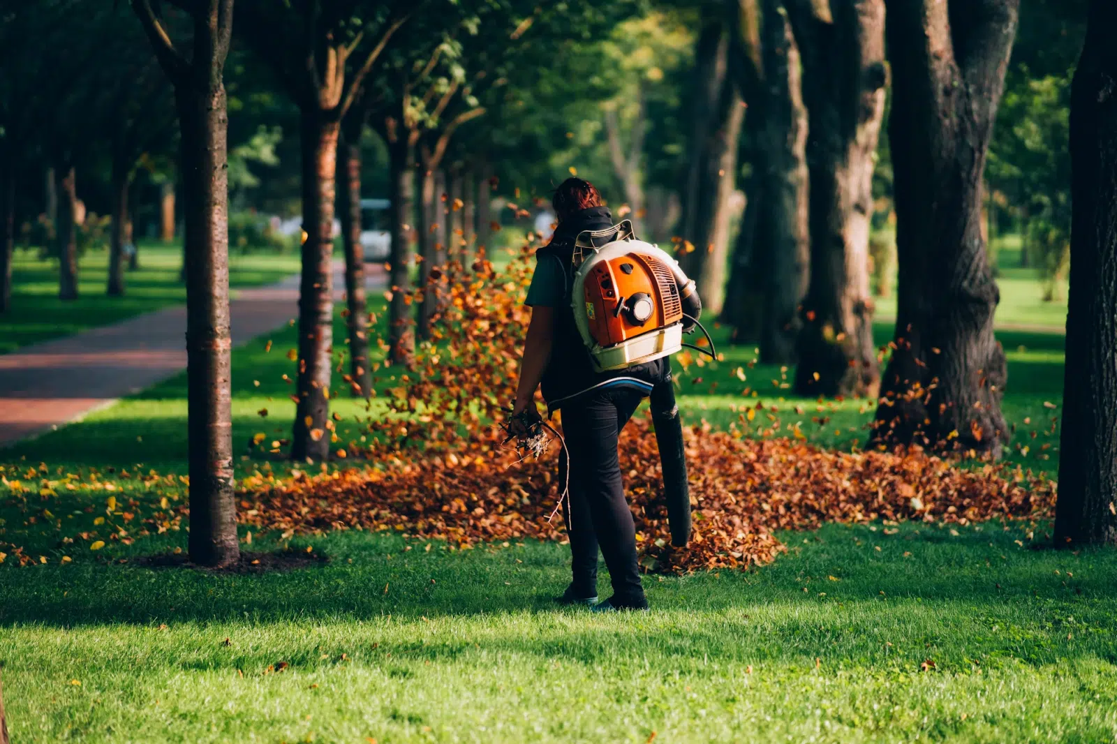 Worker with backpack leaf blower clearing autumn leaves — Cutting Edge Lawn Care in Washington